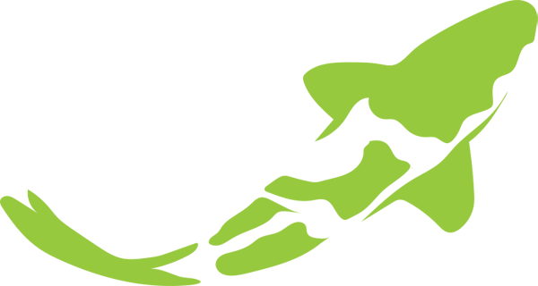 koiCarp-graphic-green01