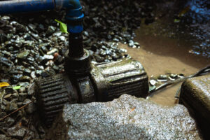 LilyPad Filter maintenance01