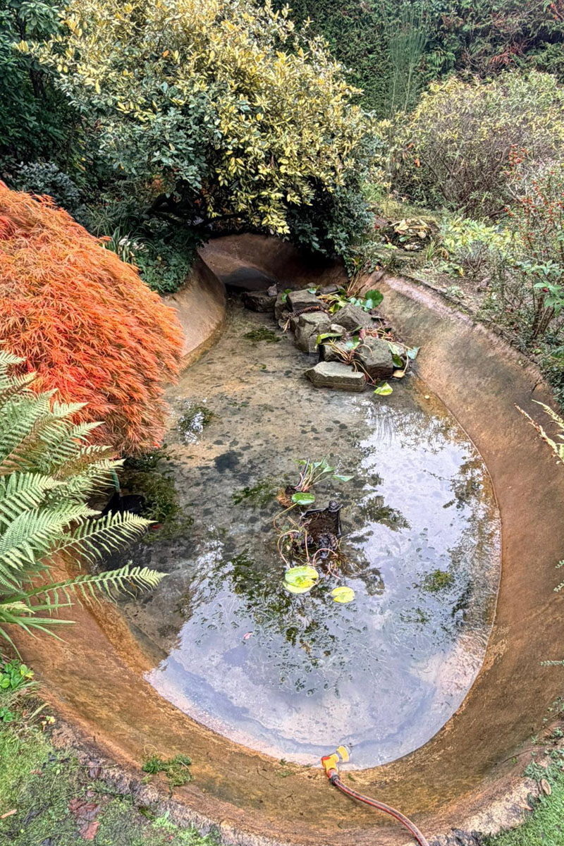 LilyPad Pond Clean, Oxted tall 02 LilyPad Pond Clean, Oxted tall 01
