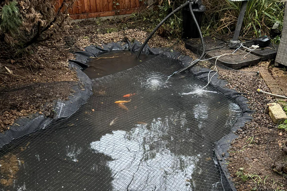 Lilypad Pond Relign 03