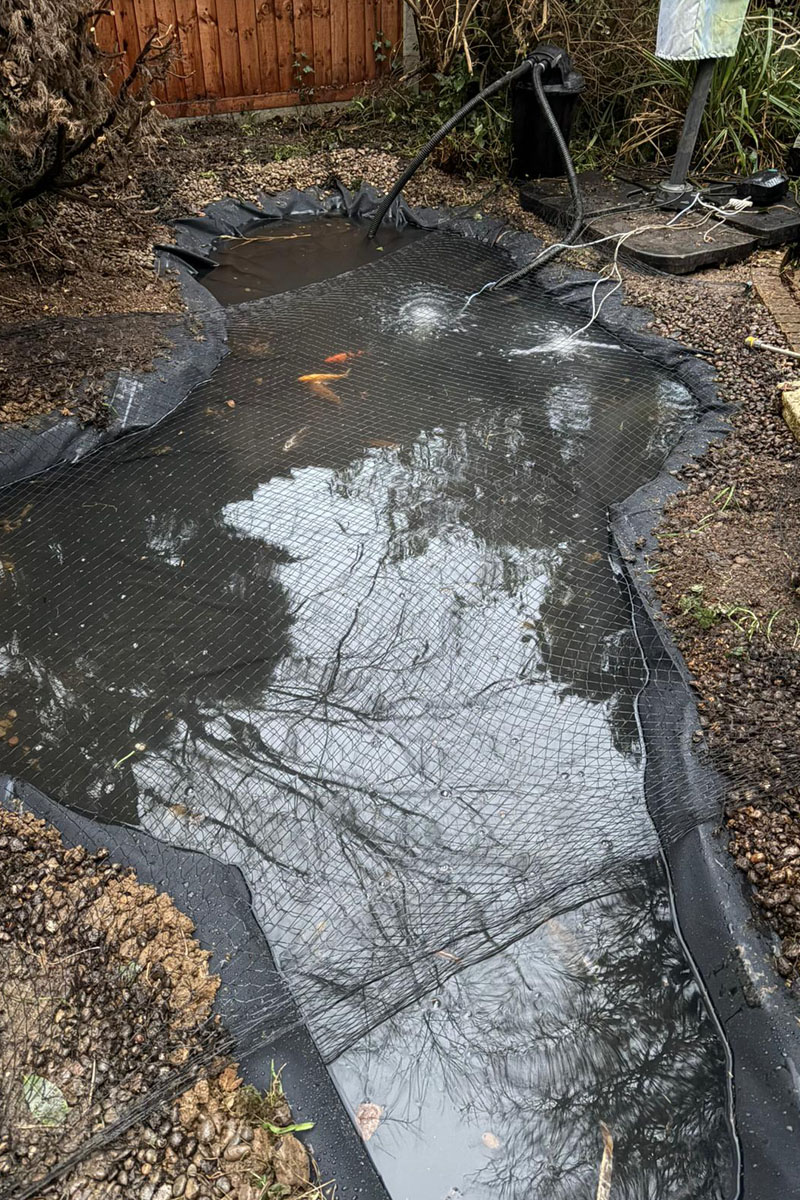 Lilypad Pond Relign 02