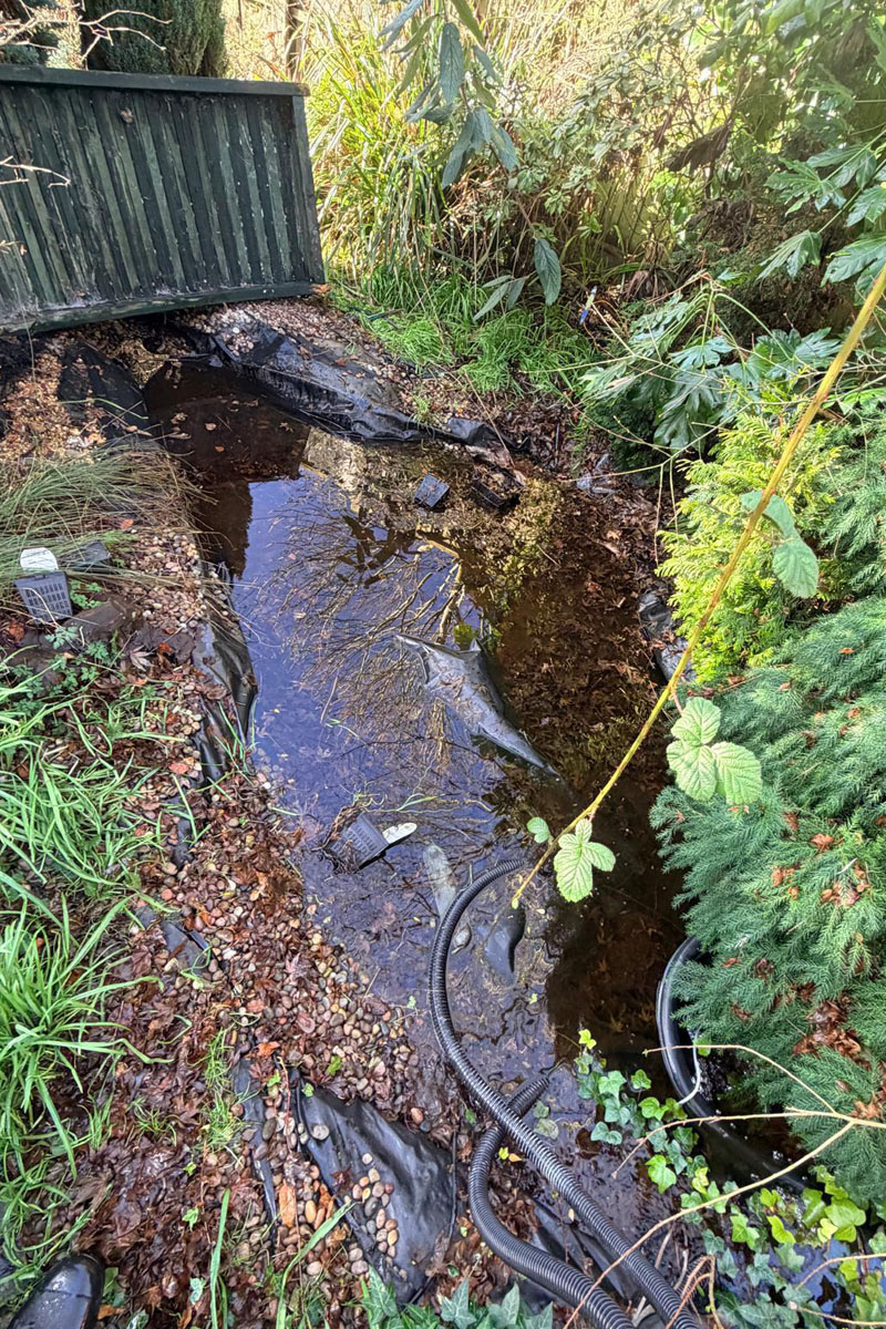 Lilypad Pond Reline 04